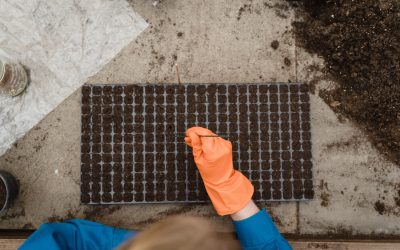 Food For Thought, Literally!