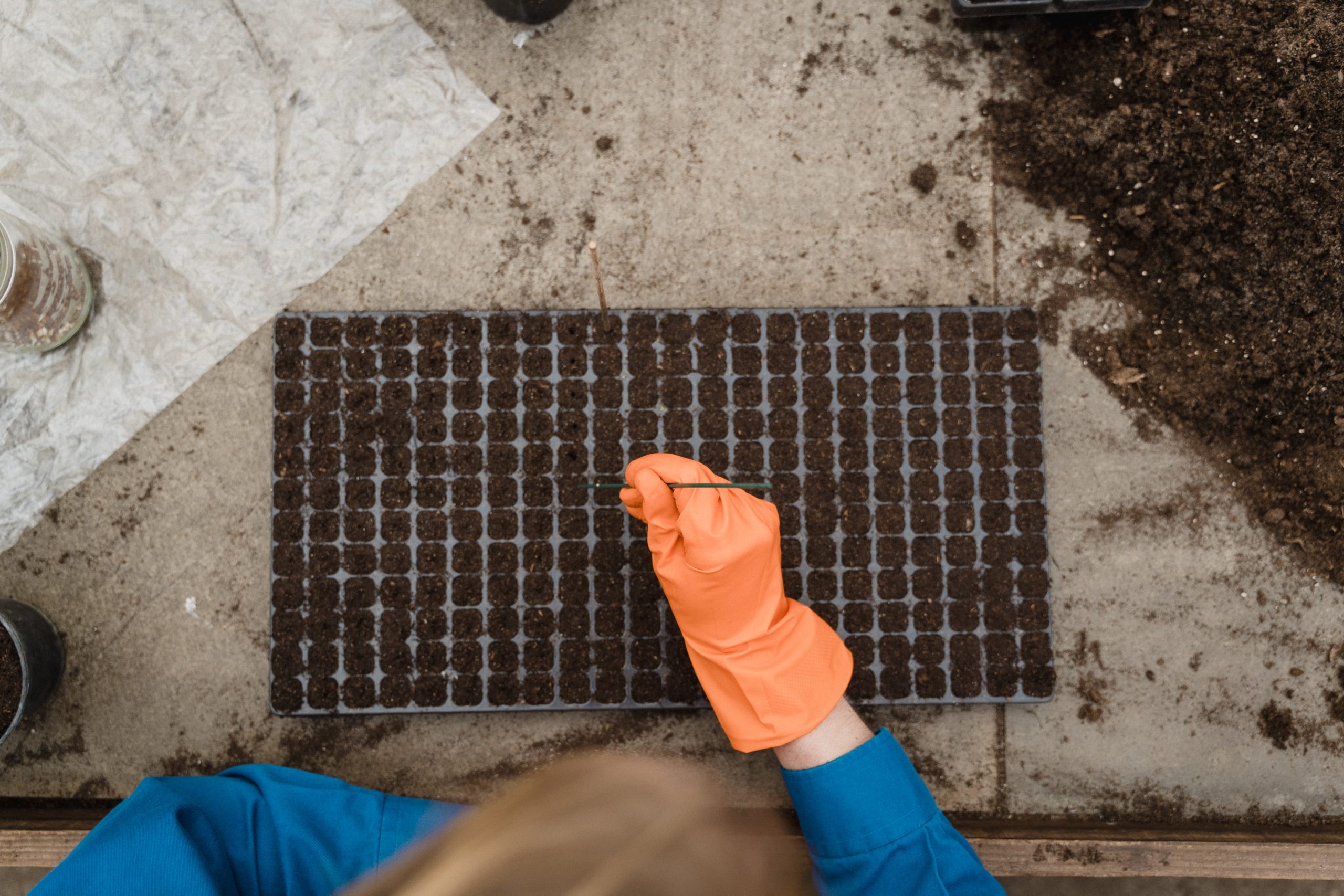 Planting and Gardening