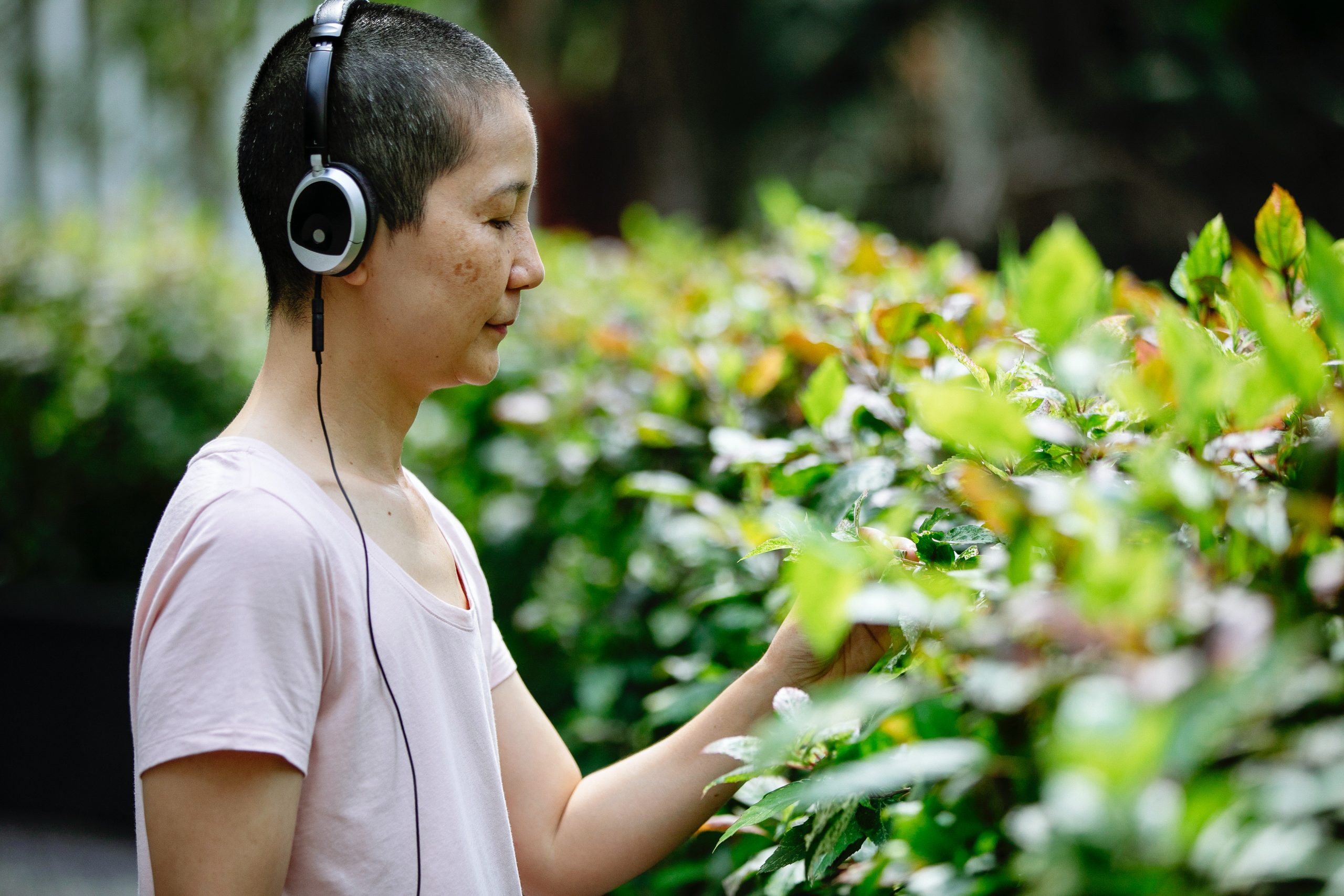 Nature Sounds